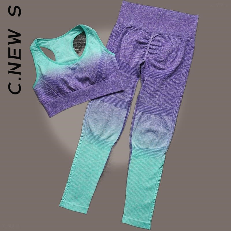SEAMLESS WOMEN YOGA SET WORKOUT SPORTSWEAR