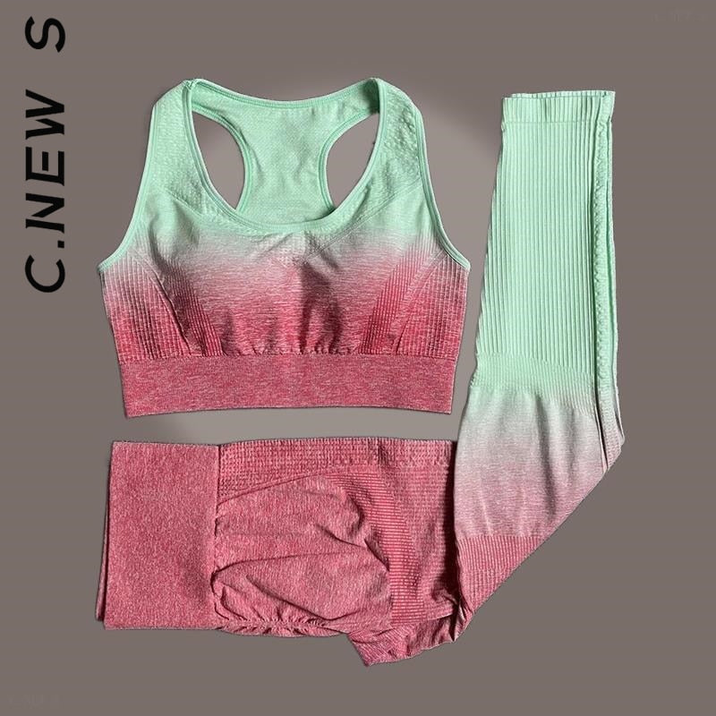 SEAMLESS WOMEN YOGA SET WORKOUT SPORTSWEAR
