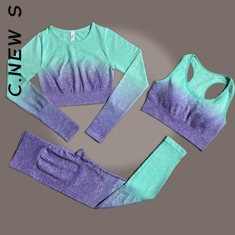 SEAMLESS WOMEN YOGA SET WORKOUT SPORTSWEAR