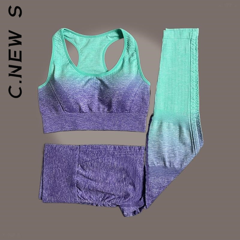 SEAMLESS WOMEN YOGA SET WORKOUT SPORTSWEAR
